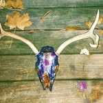 Owen Calhoun - @calhounowen - Instagram