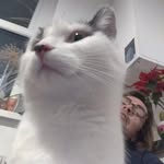 Owen Callaghan - @yipsi124 - Instagram
