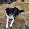 Owen Callaghan - @owen.callaghan - TikTok