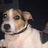 Owen Carr - @owen__124575 - TikTok