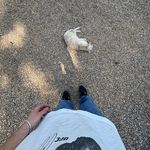 Owen ⚠︎ - @_owen.collins - Instagram