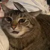 Simone Alikondak - @owen..comer - TikTok