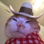 Owen Conner - @owen_the_angrysheriff - Instagram