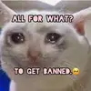 owen_conners2.0 - @owen_conners2.0 - TikTok