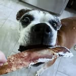 Owen Conners - @owen.conners - Instagram