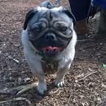 Owen Cripps - @owenisdabest - Instagram