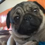 Owen Cripps - Facebook