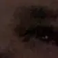 owen.culver - @owenculver0 - TikTok