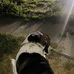 Owen Curtis - Facebook