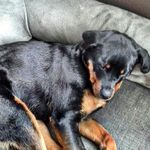 owen curtis - @owencurtis257 - Instagram
