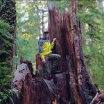 Owen Curtis - @owenrcurtis - Instagram