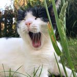 Owen Cushing - @cushing.owen - Instagram