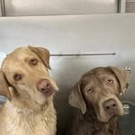 Owen Cutler - @owen44356 - Instagram
