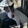 daltonowen3375 - @daltonowen3375 - TikTok