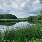 Owen Daly - Facebook