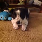 Owen Daly - @o_dog_3037 - Instagram
