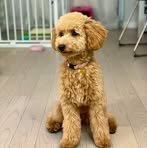 Owen Darling - Facebook