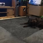 Owen Dart - @dartowen - Instagram