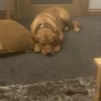 Owen Dart - Facebook