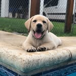 ᴏᴡᴇɴ - @owen_dartmoor - Instagram