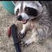 Owen Dougherty - Facebook