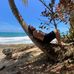 Owen Davidson - Facebook