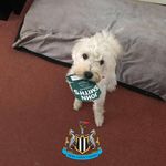 Owen Davison - @owendavison1962 - Instagram