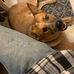 Owen Denton - Facebook