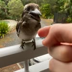 Owen - @owen.dewberry - Instagram