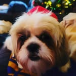 Owen Dickerson - @owenld88 - Instagram