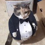 Owen Dodson - @owenlikescheeseburgers - Instagram