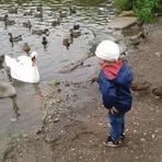 Owen Doherty - Facebook