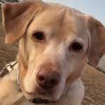 Owen Donaldson - @oweski1311 - Instagram