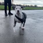 Owen Donaldson - Facebook