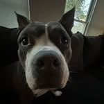 Owen Donovan - @owen_isslow - Instagram
