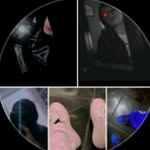 owen donovan Cabrera Ibarra - @owend_onovan - Instagram