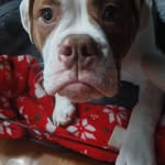 owen dooley - @owendooley60 - Instagram
