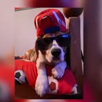 Owen Dooley - Facebook