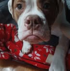 Owen Dooley - Facebook