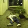 Owen Dooley - @owen.dooley - TikTok