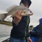 Owen Dornfeld - @owen.dorny - Instagram