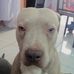 Owen Escobedo Doss - Facebook