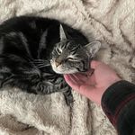 Owen Dowell - @blind_2474 - Instagram