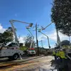 Owenn_McDowell - @owen_mcdowell - TikTok