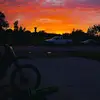 Owen Duff - @ddog2354 - TikTok