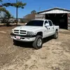 Duke - @dukebowen - TikTok