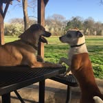 Duke&Owen - @duke_elliot.owen_tucker - Instagram