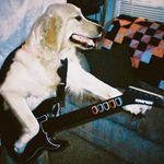 owen - @owendunlap - Instagram