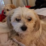 Eddy Owen - @eddy.owen.140 - Instagram