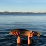 Owen Edgar - @owen.skiz - Instagram